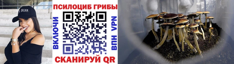 Галлюциногенные грибы мухоморы Заозёрный